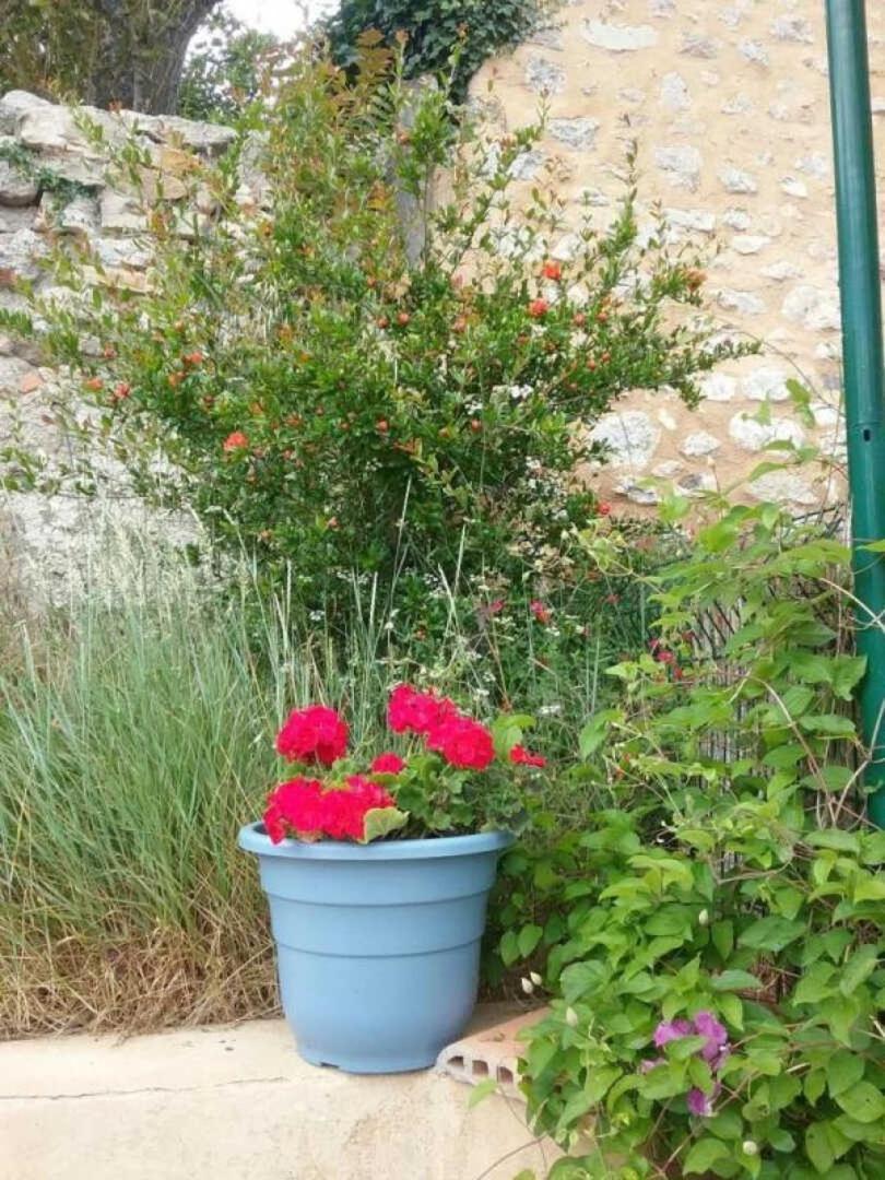 Cecile Vila Montgaillard  Exterior foto