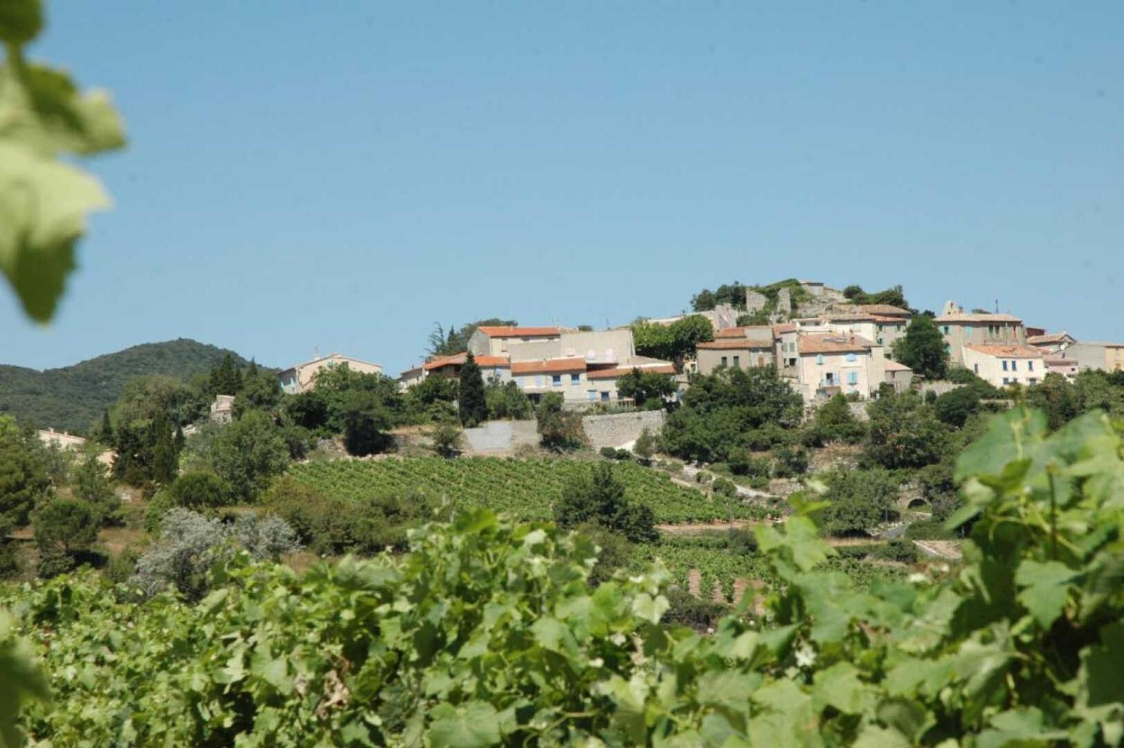 Cecile Vila Montgaillard  Exterior foto